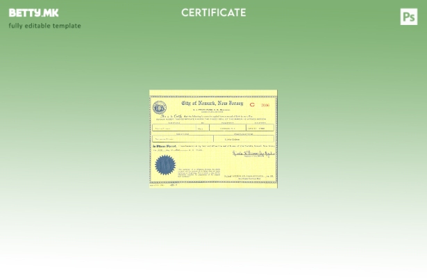 Модерен стил шаблон за извод од матична книга на родените во САД Њу Џерси